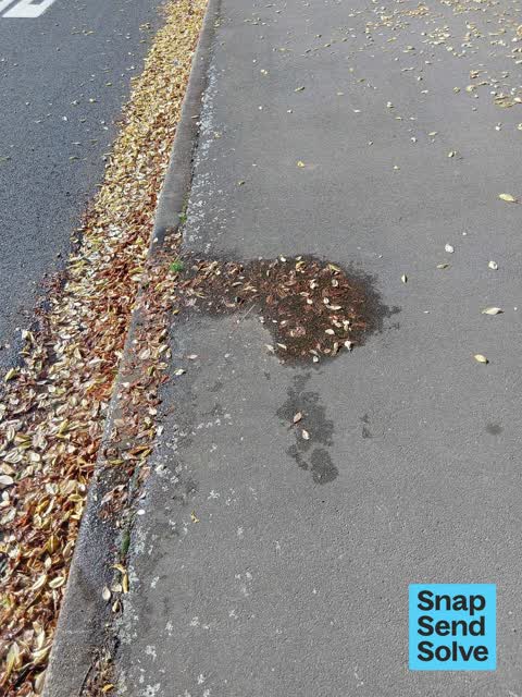 Water Leak, a report photo