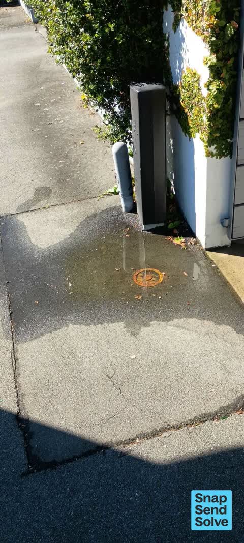 Water Leak, a report photo