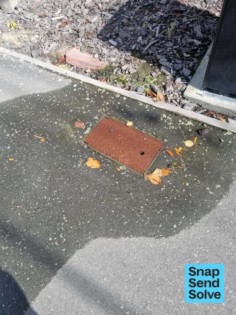 Water Leak, a report photo