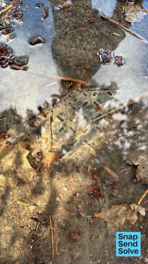 Water Leak, a report photo