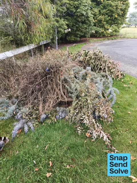 Dumped Rubbish, a report photo
