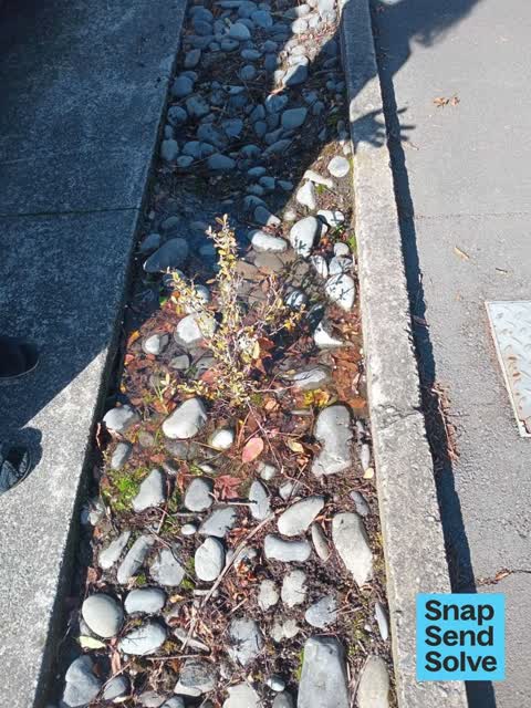 Water Leak, a report photo