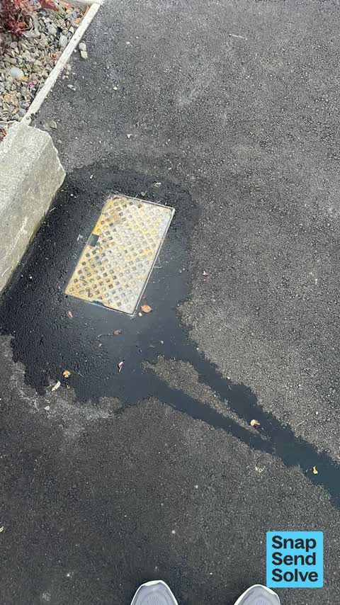 Water Leak, a report photo