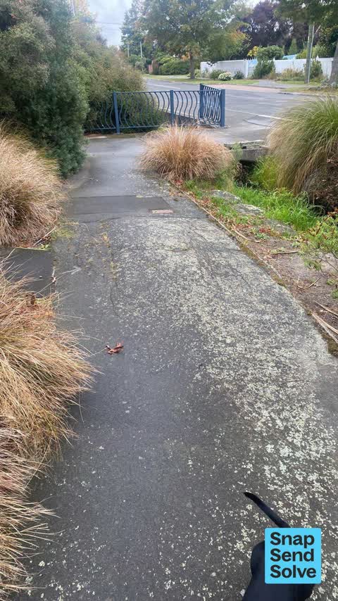 Pavement - Damaged, a report photo