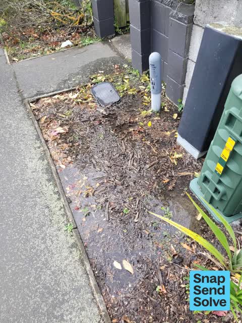 Water Leak, a report photo