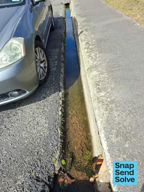 Street Gutters / Storm Water, a report photo