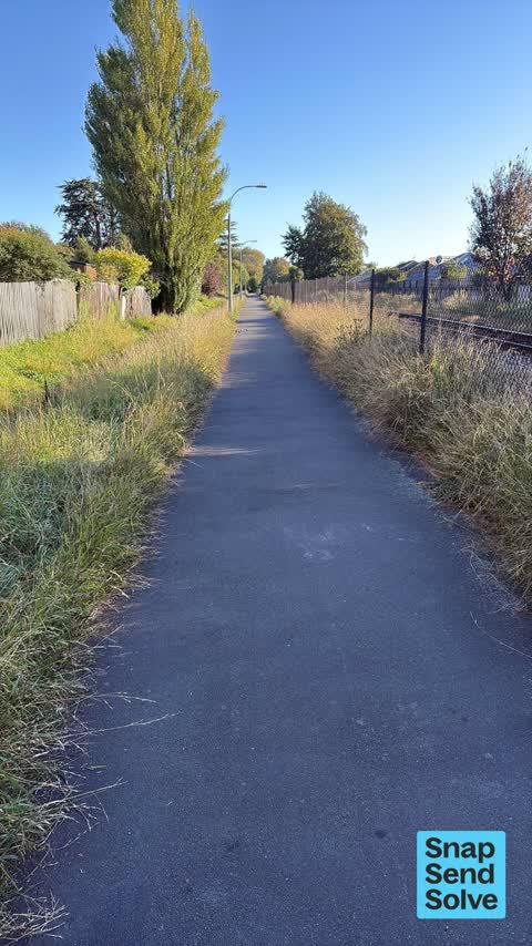 Overgrown Vegetation, a report photo
