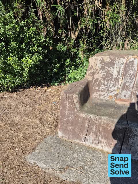 Litter, a report photo