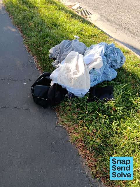 Dumped Rubbish, a report photo