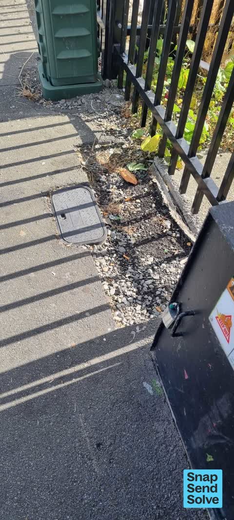 Pavement - Damaged, a report photo