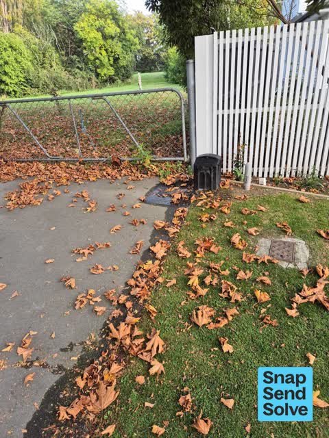 Water Leak, a report photo