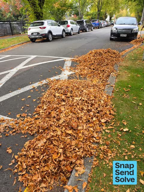 Street Cleaning, a report photo