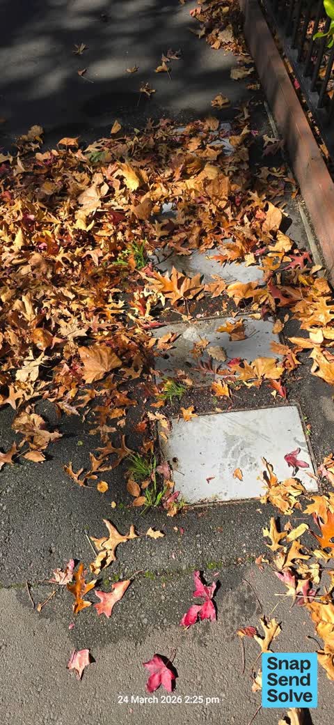 Water Leak, a report photo