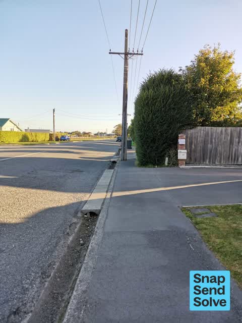 Overgrown Vegetation, a report photo