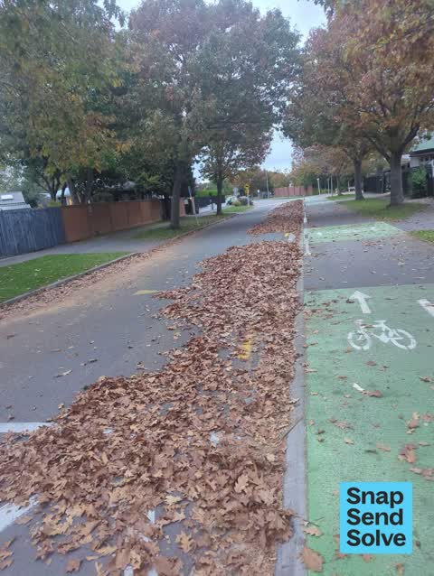 Street Cleaning, a report photo