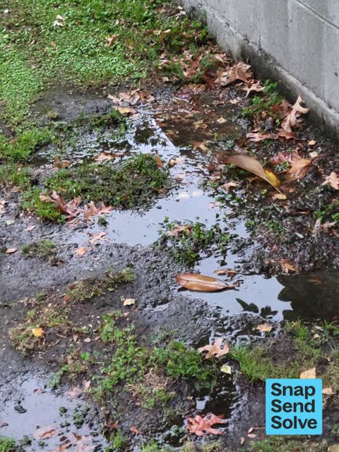 Water Leak — a report photo