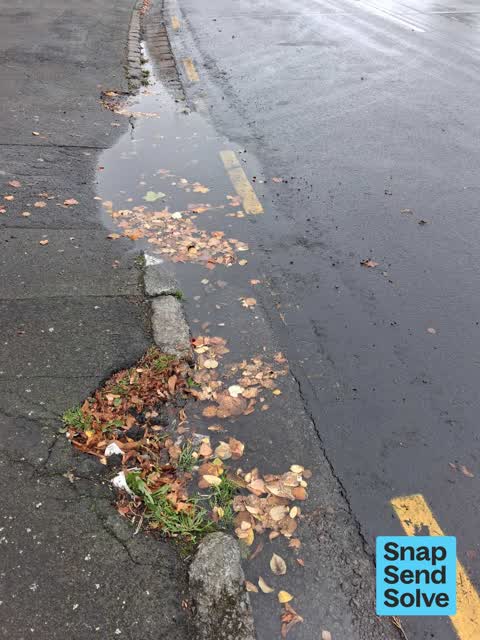 Water Leak, a report photo