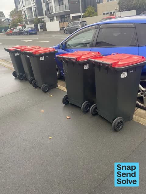 Rubbish and Bins - General, a report photo