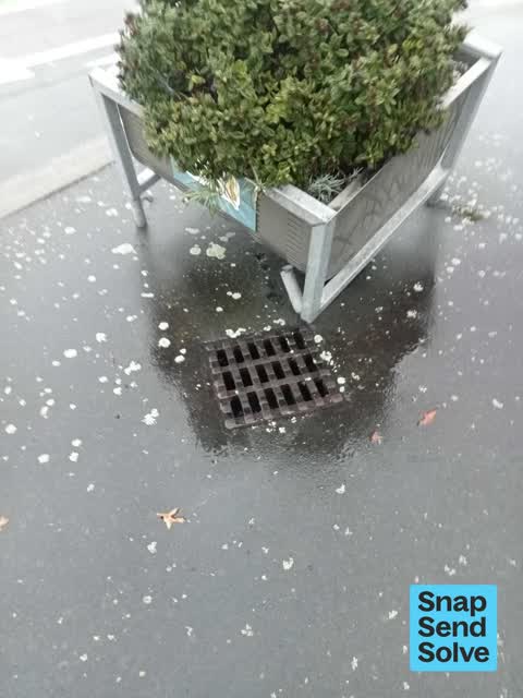 General Request, a report photo