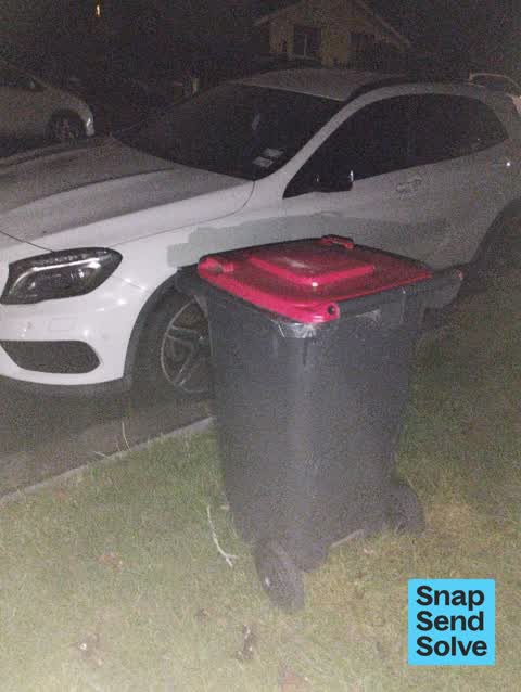 Rubbish and Bins - General, a report photo