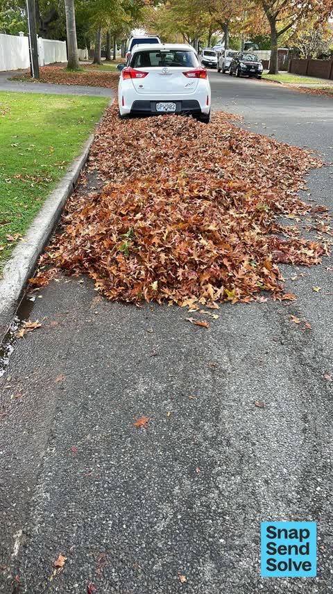 Street Cleaning, a report photo