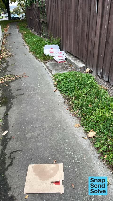 Litter, a report photo