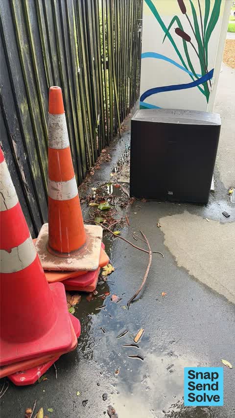 Water Leak, a report photo