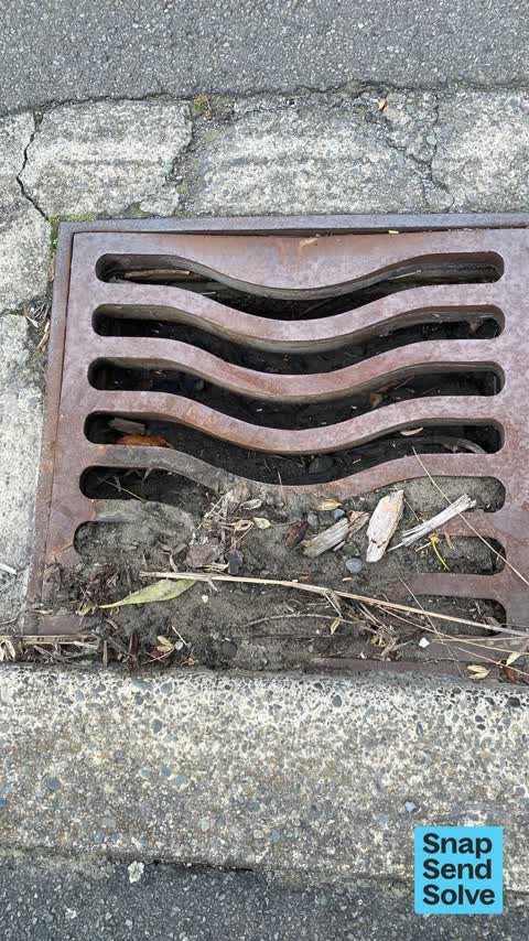 Street Gutters / Storm Water, a report photo