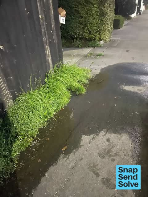 Water Leak, a report photo