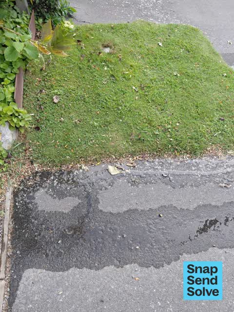 Water Leak, a report photo