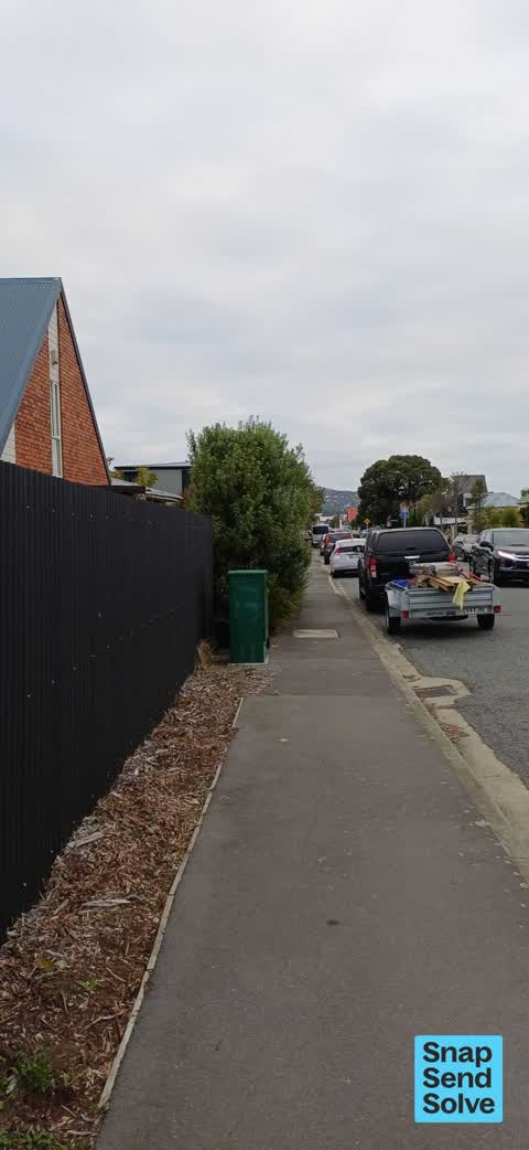 Overgrown Vegetation, a report photo