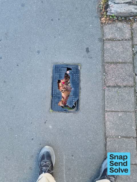 Pavement - Damaged — a report photo