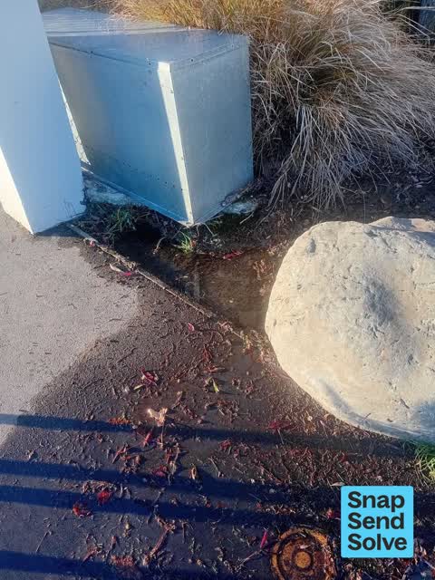Water Leak, a report photo