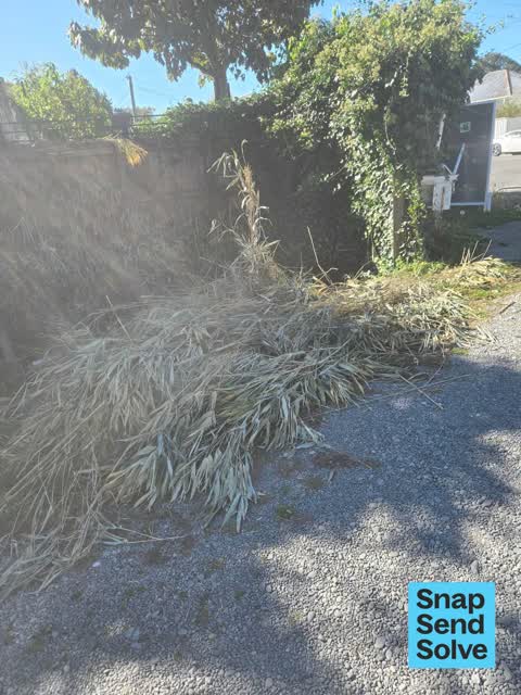 Dumped Rubbish, a report photo