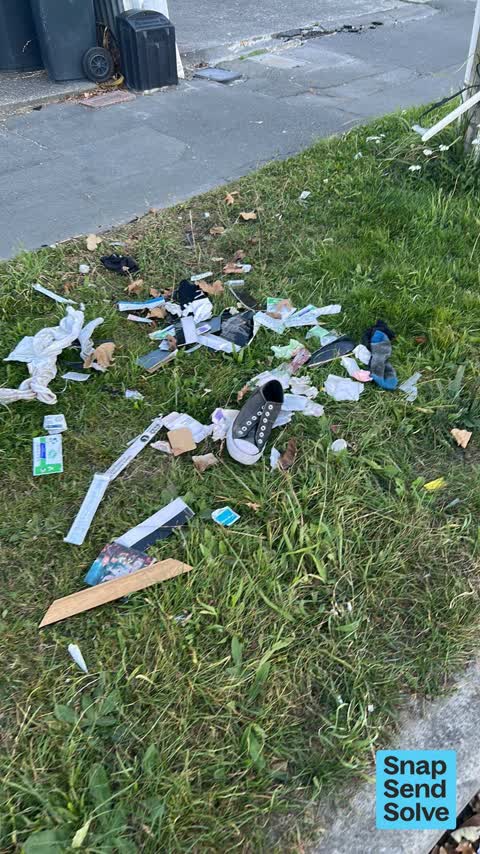 Litter, a report photo