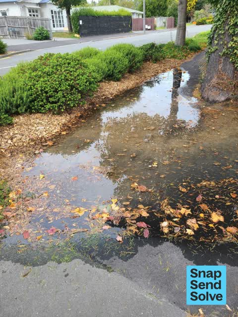 Water Leak, a report photo