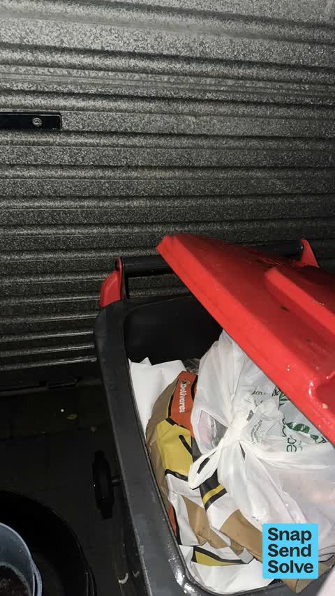 Rubbish and Bins - General, a report photo