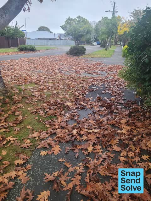 Street Cleaning, a report photo
