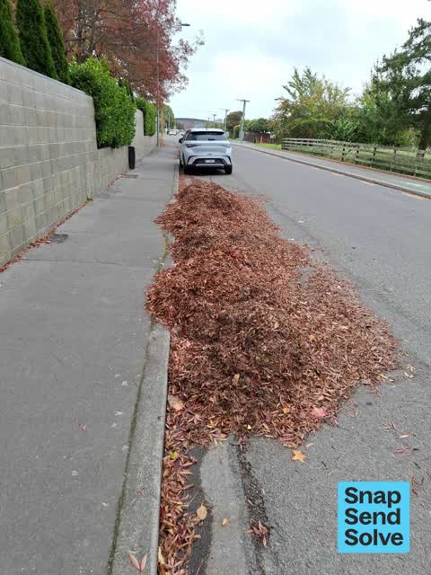 Street Cleaning, a report photo