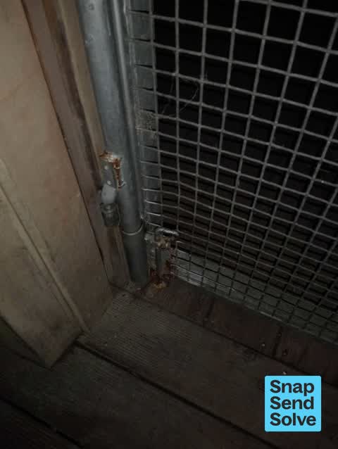 General Request, a report photo