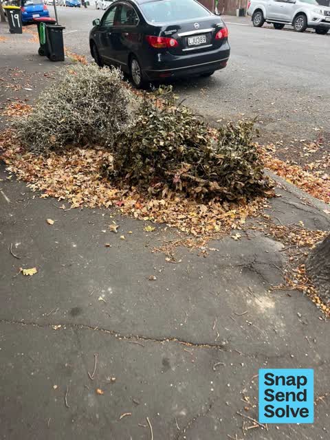 Dumped Rubbish, a report photo