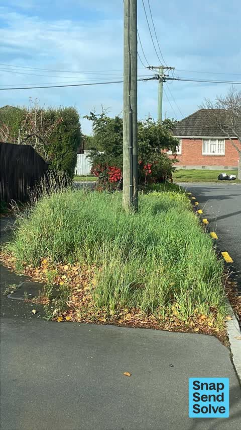 Overgrown Vegetation, a report photo