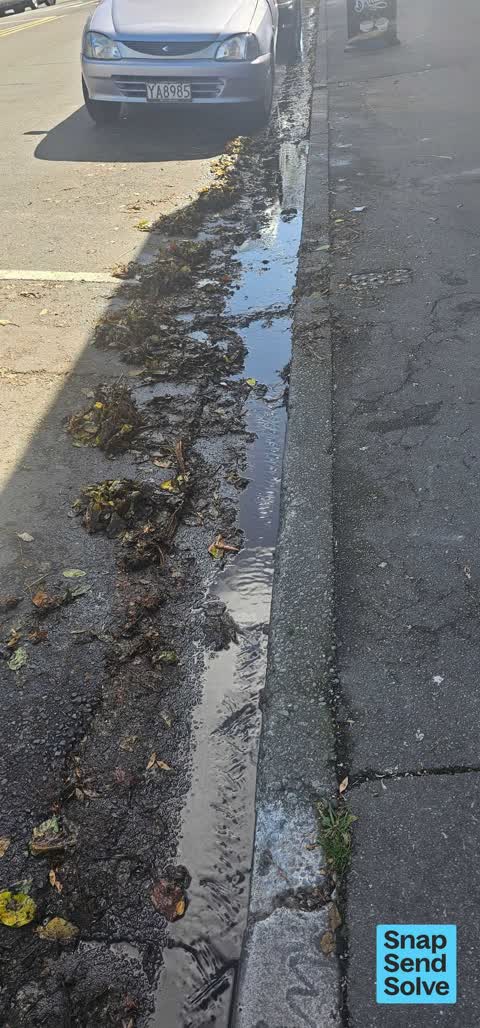 Street Gutters / Storm Water — a report photo
