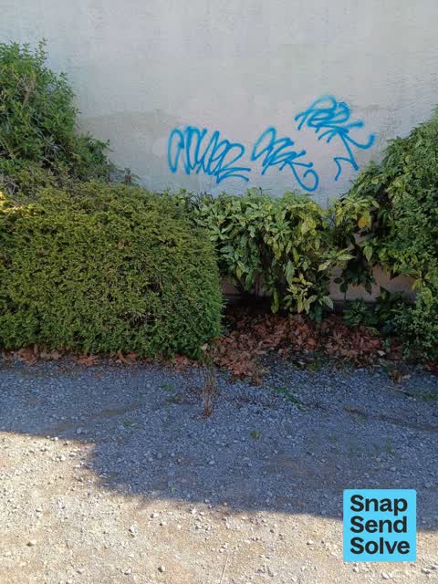 Graffiti on a fence, building or structure, a report photo