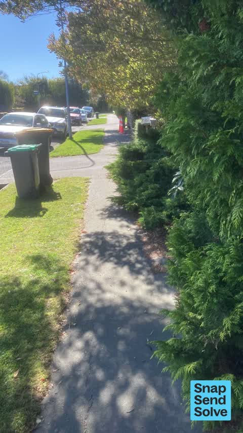 Overgrown Vegetation, a report photo