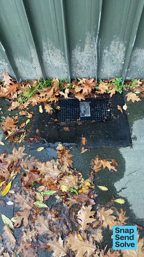 Water Leak, a report photo