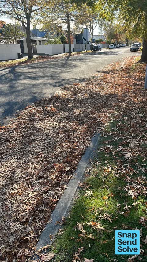 Street Cleaning, a report photo
