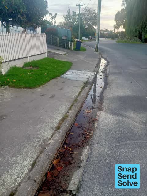 Water Leak, a report photo