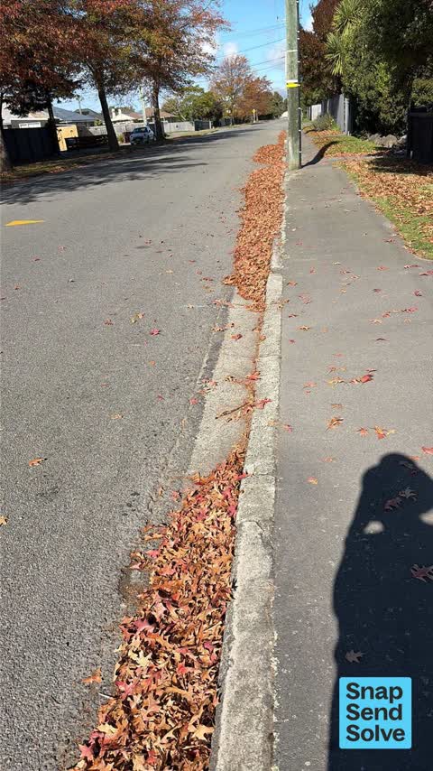 Street Cleaning, a report photo