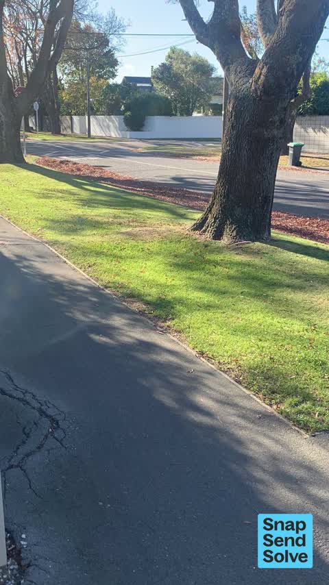 Street Cleaning, a report photo